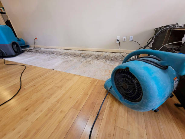Professional Basement Flood Cleanup technician working in Hebron, NE
